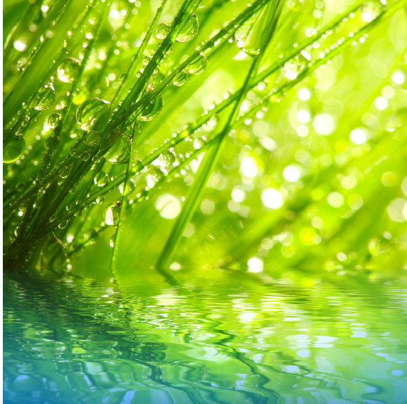 {p_product_name} by {p_product_company}